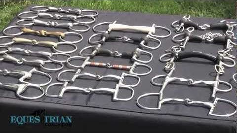 Horse Bits: How They Work and When to Use