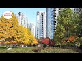 Vancouver street walk, EP103 - David Lam Park to Sunset Beach along False Creek water front