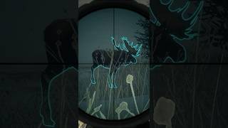 Diamond Moose HEARTSHOT with the .500! 🎯🎯💎 #cotwgameplay #thehunter #cotw