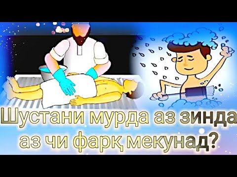 Ҳоҷи Мирзо Шустани мурда аз зинда аз чи фарқ мекунад?