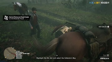 Red Dead Redemption 2 Online | Family Mod Menu (2024)