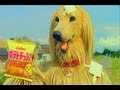 いいなCM　カルビー　ポテトチップス　「パンチくん 野球」篇