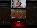 Tem arco e flecha tbm . não é só pancada 😂 #live #gameplay #seinscrevam #rpg #jogos #games #psgames