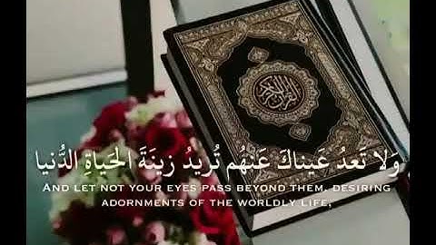 عطر سمعك الآن 🍀| قرآن كريم بصوت القارئ فارس عباد| حالات واتس اب دينيه 💛🎧