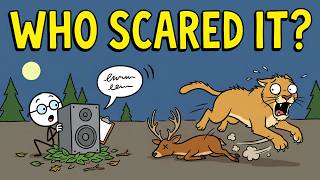 Why Do Wild Animals Follow Humans for Miles Without Attacking?