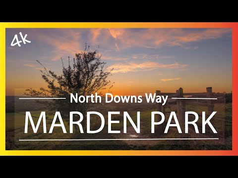 The Secrets of North Downs Revealed: Explore Marden Park and Greensand Way