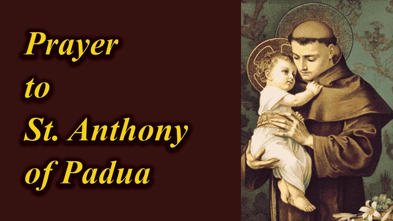 Prayer to St Anthony YouTube