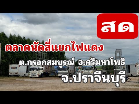 สาวน้อยเพชรบ้านแพง กำลังถ่ายทอดสด!