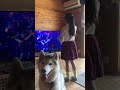 B&rsquo;z きみとなら 小学3年生とハスキー