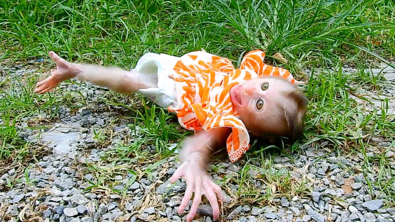 Drama baby Bunny throw herself on ground for asking dad pick up. YouTube