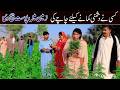 Charas Shoki, Sanam , Bilo , Malangi Ch Kuki & Muskan , Nomi , New Funny Video By Rachnavi Tv2