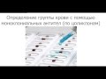 Как узнать группу крови и резус-фактор в домашних условиях: методы, техника, таблица