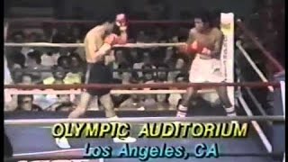 Famous [ Boxing fight 2016 ]Rolando Navarrete vs  Mario Martinez Wealth