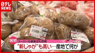 スーパーでは２～３割高に…じゃがいもが高い！産地で何が？（2021年3月9日放送「news every.」より）