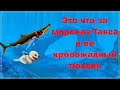 Hungry Shark World - Морская такса жрет головы и руки??? Что за ерунда