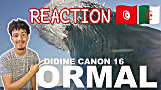 Didine Canon 16 , NORMAL 🔥🔥||🇩🇿🇹🇳REACTION🇹🇳🇩🇿||🔥🔥#reaction