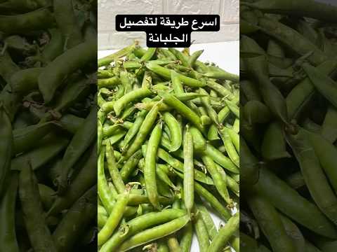 قشري حتال 5كيلو في 5دقايق