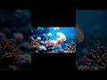deep sea jelly fish wierd#plz subscribe