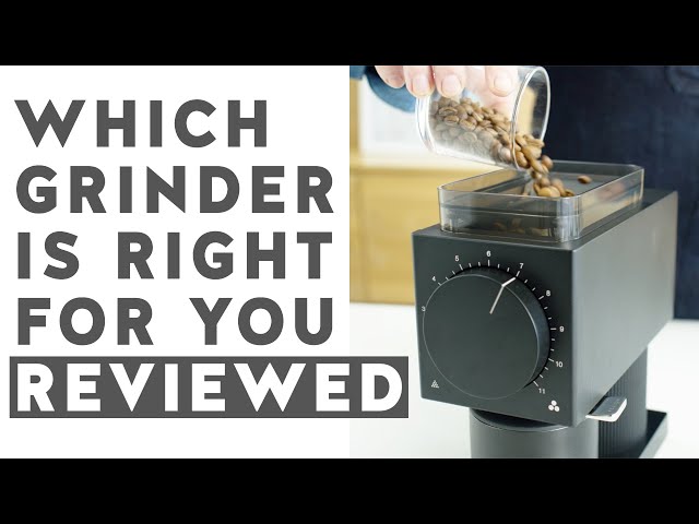 Which Coffee Grinder Is Right For You?