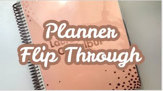 2017 Planner Flip Through 🎀