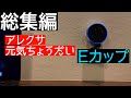 【総集編2】アレクサマン柴田