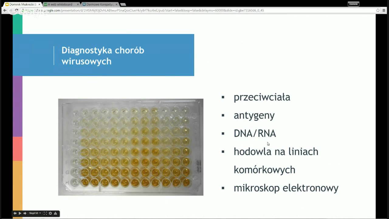 Darmowe Korepetycje z Biologii, spotkanie 6: Wirusy — Transcript