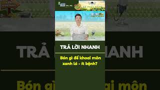 APN - Bón gì cho khoai môn xanh lá, ít bệnh? #apnhoamau