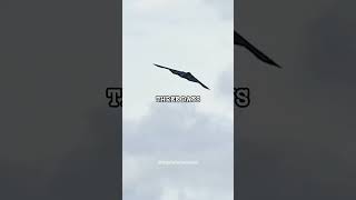 How a B-2 Flew 30,000 Miles to War @topdefensenews
