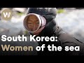 Free-diving women of South Korea risk their lifes everyday in order to feed their family