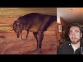 Middle of video