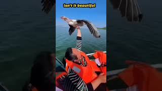 Funny Things On Internet