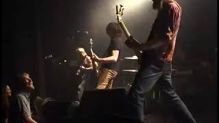 Magnified Eye - On the Edge of a Stone