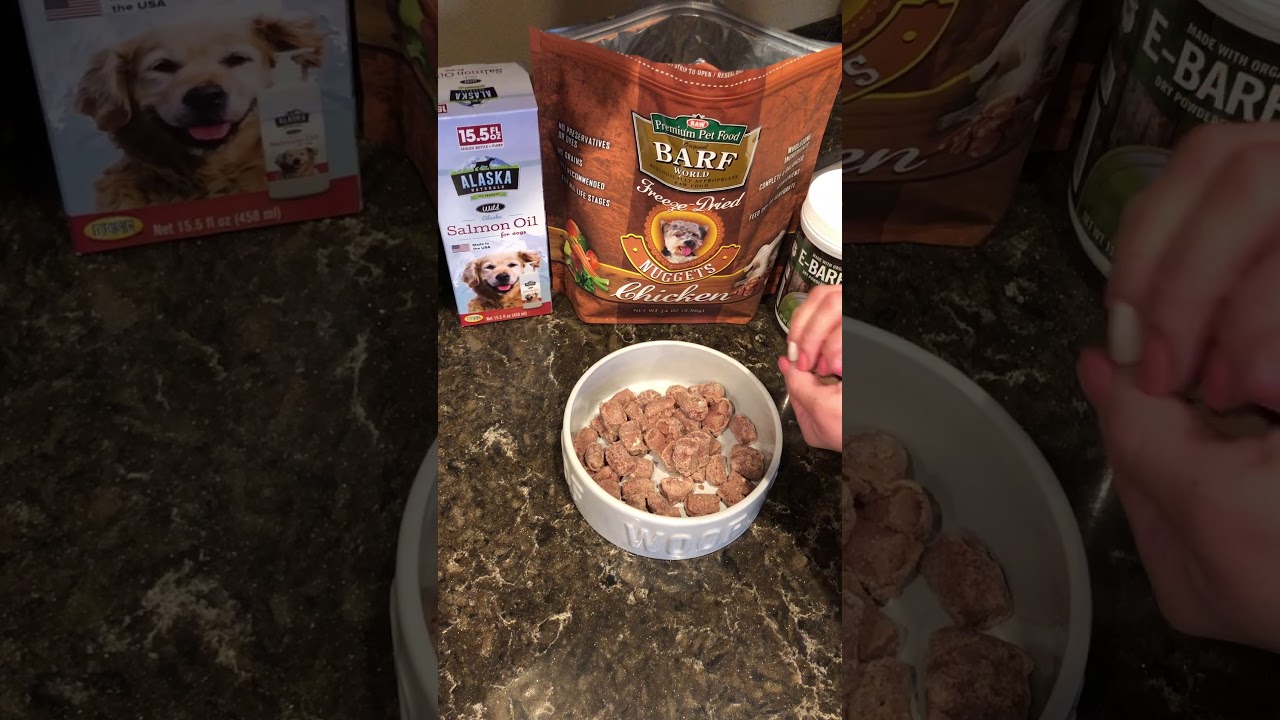 Is Your Pet A Picky Eater? - YouTube