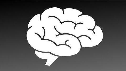 2. Neocortex: Part Two of Two