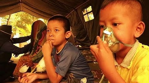 Cellular Automata for Peatland Wildfires Modelling - Dwi Purnomo