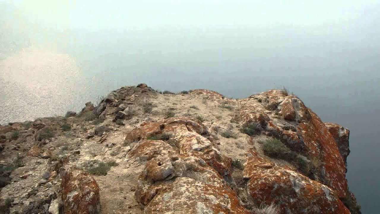 Самур кий лес