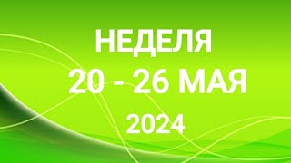 ВЕСЫ ♎. ИЗОБИЛИЕ. НЕДЕЛЯ 20-26 МАЯ 2024. Таро прогноз.