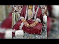 Kashmiri bridal 7 days suits  
