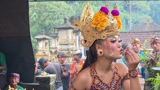 TINA'S DECK AND MEKARSARI PEMUDUNGAN