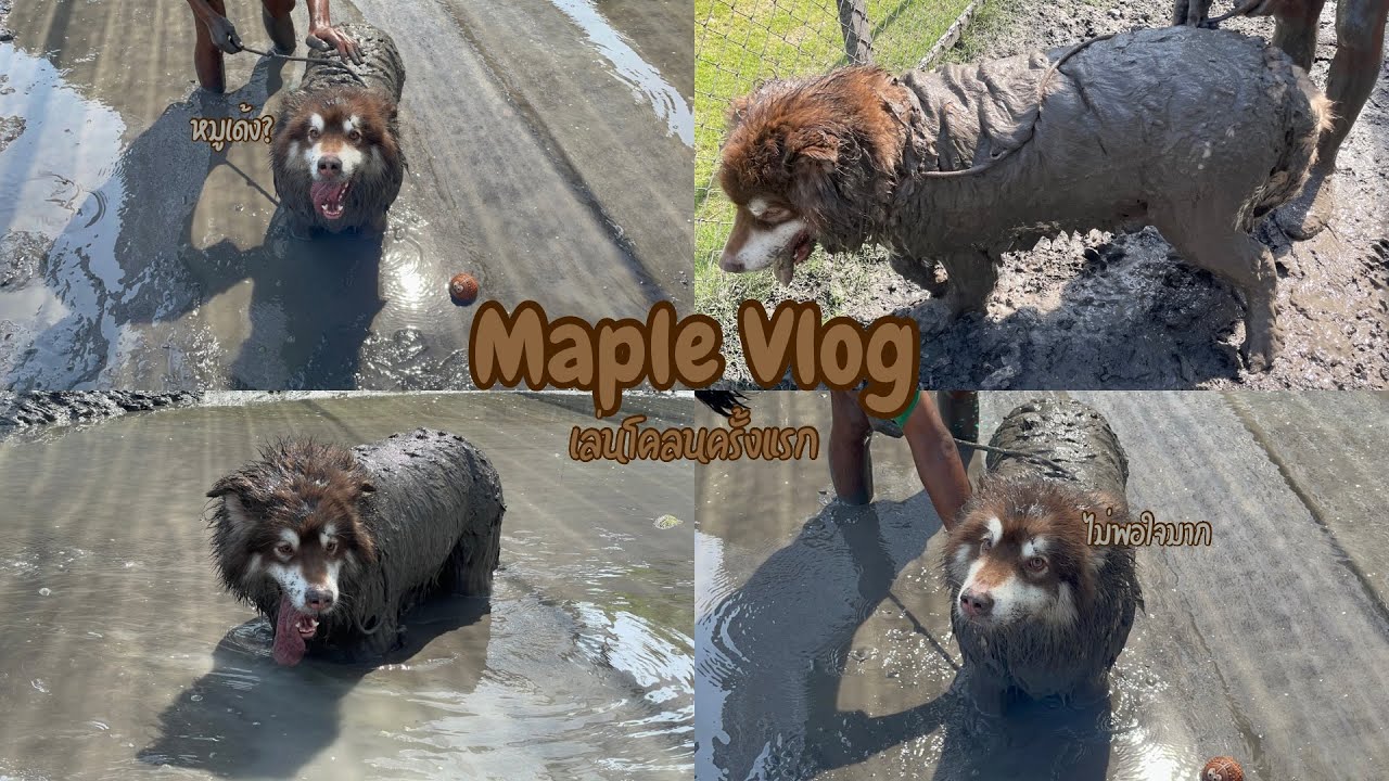 Maple Vlog : เปิดประสบการณ์ พาลูกสาวไปเล่นโคลนครั้งแรก!