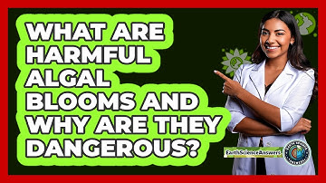 What Are Harmful Algal Blooms And Why Are They Dangerous? - Earth Science Answers