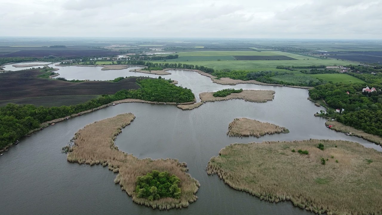 BAČKA TOPOLA | BAČKOTOPOLSKO - ZOBNATIČKO JEZERO IZ VAZDUHA |LAKE FROM THE AIR | SERBIA #lake #drone