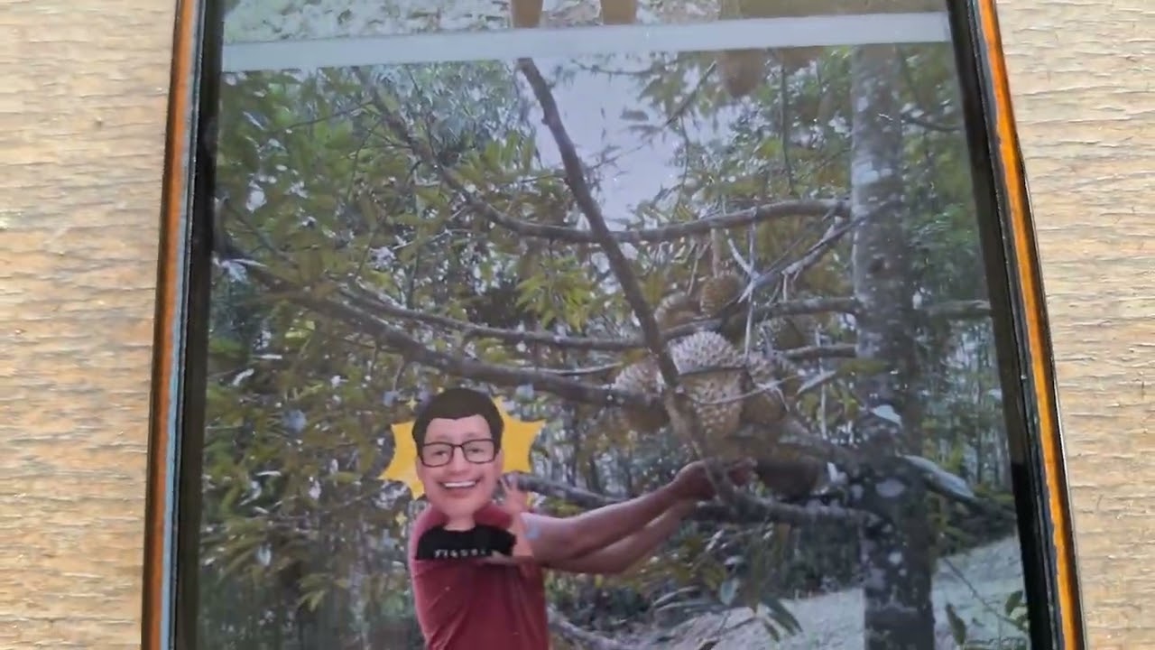 Turun Harga. dijual kebun durian SHM pekarangan  luas 4037m harga 980jt. lok karangpandan Kranyar