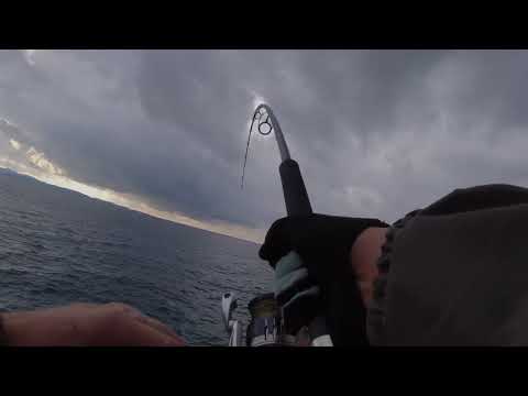 Shore Jigging -