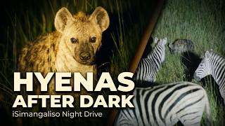 Night Drive in iSimangaliso | St Lucia Safari