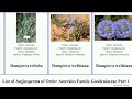 List Of Angiosperms Of Order Asterales Family Goodeniaceae Part 1 Dampiera Forest Dwarf Australis 