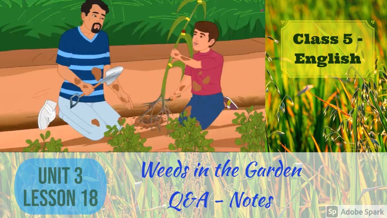 Weeds in the Garden Moral Story Class 5 English Unit 3 Lesson