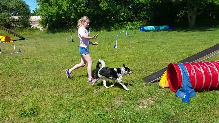 Saphire Novice Touch and Go Run 2 6/26/22