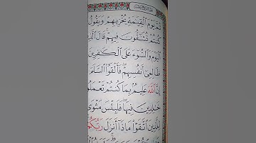 ما معنى كلمه "تشقون فيهم"#سورة #النحل