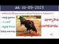 30 September 2025 today winning colours/Today winning colours /vision of kukkuta sastram in colours